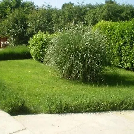In Zaton (Zadar)